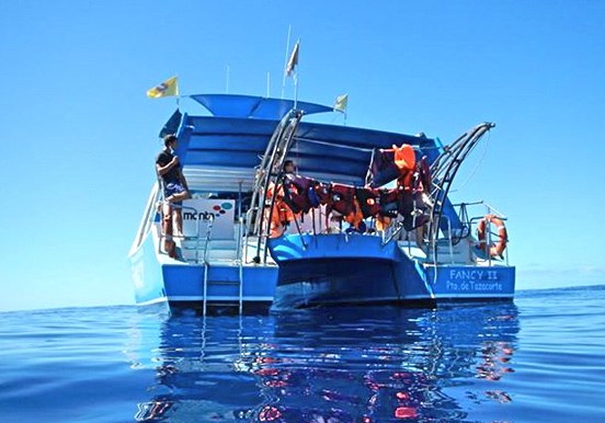 Fancy II catamaran in La Palma