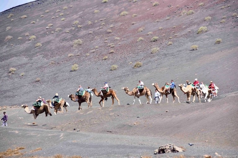 Camel ride near Timanfaya.jpg
