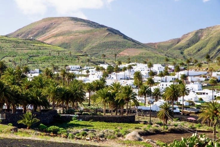 Haría valley of thousand palms.jpg