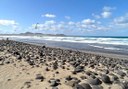 kitesurfing in Lanzarote coast