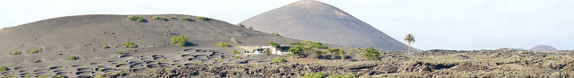 Wine journey in Lanzarote