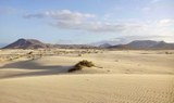 Corralejo sand dunes natural park.jpg