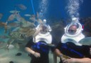 Sea trekking in Lanzarote.jpg