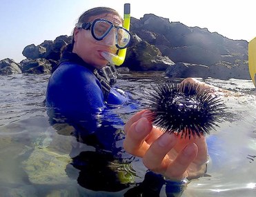 Guided Snorkelling Tour in Lanzarote