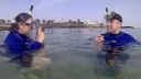 Guided snorkelling Costa Teguise.jpg