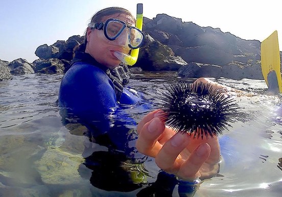 Guided snorkelling tour Lanzarote.jpg