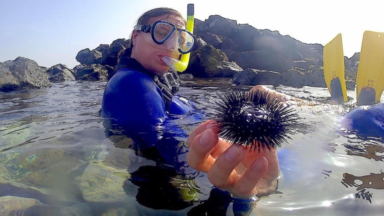 Guided snorkelling tour Lanzarote.jpg