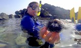 Guided snorkelling tour Lanzarote.jpg