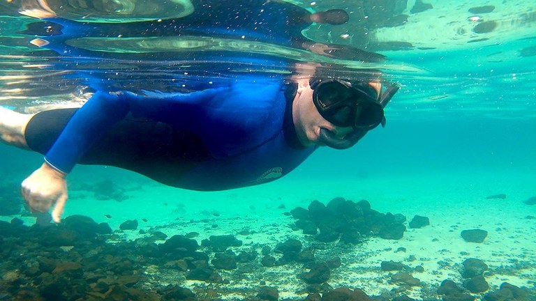 Snorkelling trip in Lanzarote.jpg