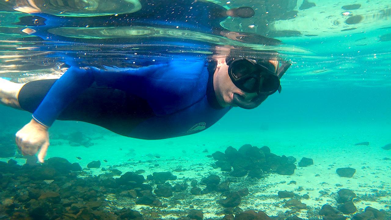 Snorkelling trip in Lanzarote.jpg