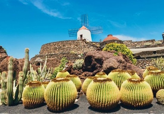 Jardin de Cactus Lanzarote.jpg