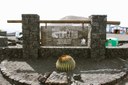 Winery visit and wine tasting in Lanzarote.jpg