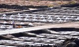 Janubio salt pans in Lanzarote.jpg