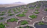 La Geria the wine region of Lanzarote.jpg