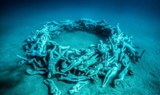 Dive in underwater musuem Lanzarote.jpg