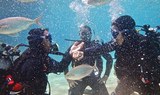 discover scuba diving in Costa Teguise