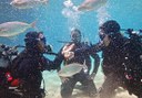 diving in Costa Teguise