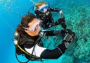 open water diving in Costa Teguise