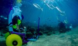Lanzarote water activity for less mobiled .jpg
