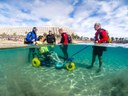 Sea trek adapted for the disabled Lanzarote.jpg