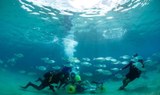 Sea trek for handicaped persons Lanzarote.jpg