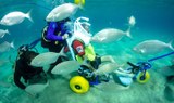 Underwater experienced for the disabled Lanzarote.jpg