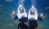 sea trekking
