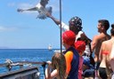 spot bird via catamaran sailing in Lanzarote coast