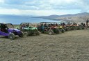 buggy tour along Lanzarote coast