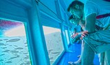sail the Atlantic via glassbottom boat