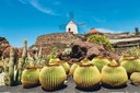 Jardin de Cactus Lanzarote.jpg