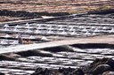 Janubio salt pans in Lanzarote.jpg