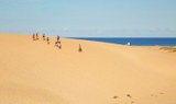 Corralejo-Dunes-Natural-Park.jpg