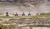 Corralejo safari quad and buggy.jpg