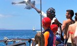 spot bird via catamaran sailing in Lanzarote coast