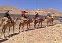 camel safari in Lanzarote