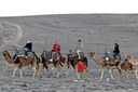 camel safari on sandy landscapes in Lanzarote