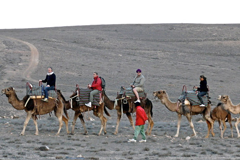 camel safari on sandy landscapes in Lanzarote