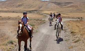 Guided horse riding tours