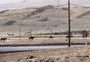 horse riding in Lanzarote