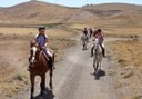Horseback riding in Lanzarote
