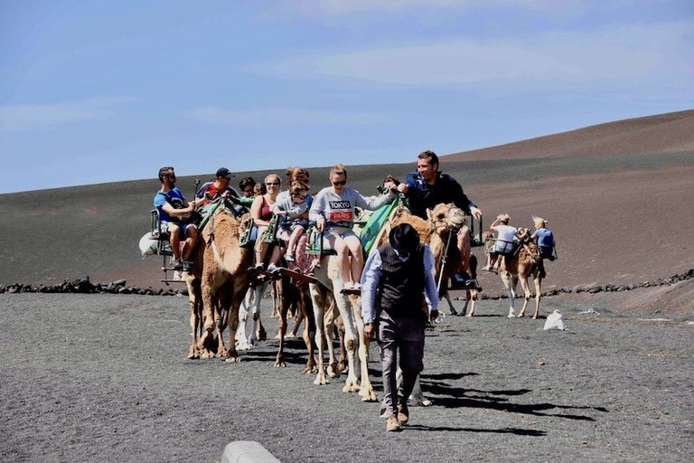 Camel ride Lanzarote.jpg