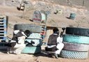 paintball game in Lanzarote