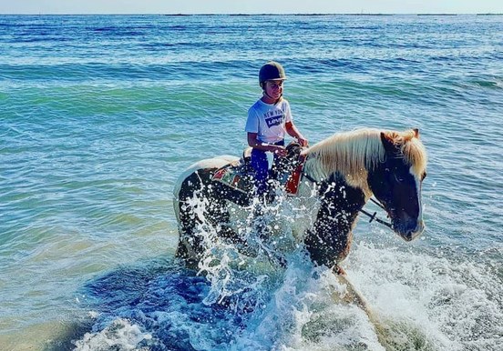 get into the water with your horse.jpg
