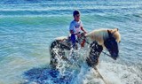 get into the water with your horse.jpg