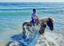 get into the water with your horse.jpg