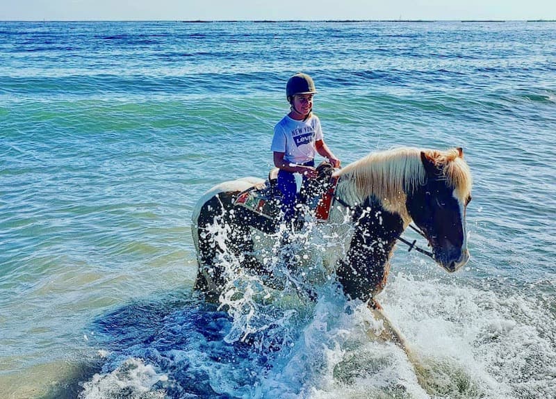 get into the water with your horse.jpg