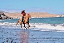 Horse riding Lanzarote beach tour.jpg