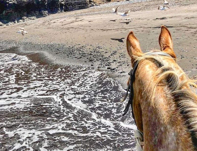 Horse riding Tour Lanzarote El Pozo beach.jpg