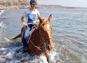 Lanzarote beach horse riding tour.jpg